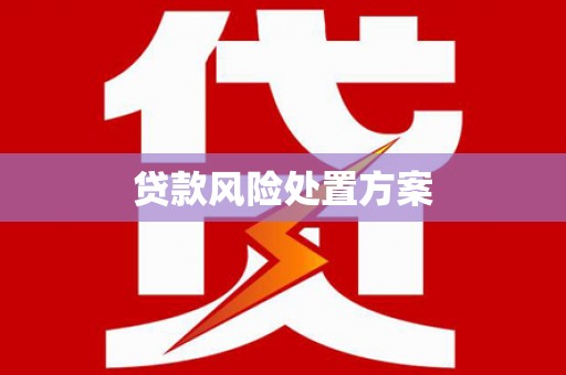 安阳贷款风险处置方案