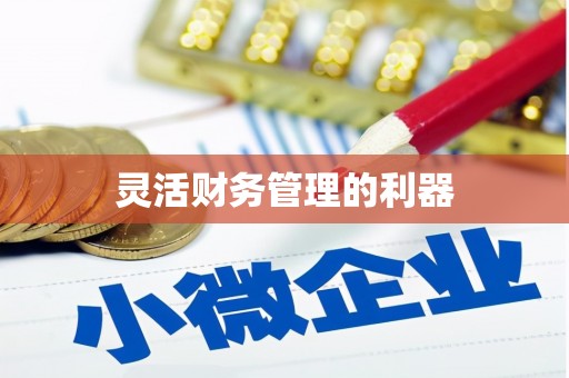 娄星灵活财务管理的利器