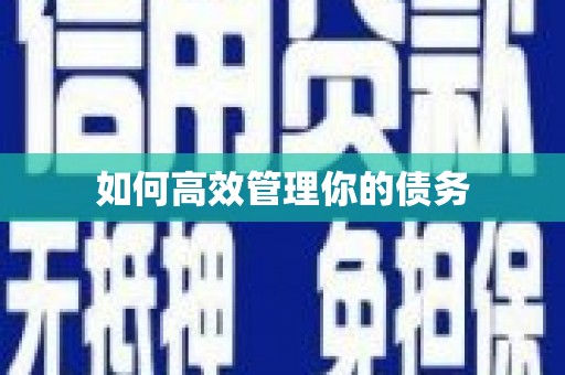 沙雅如何高效管理你的债务