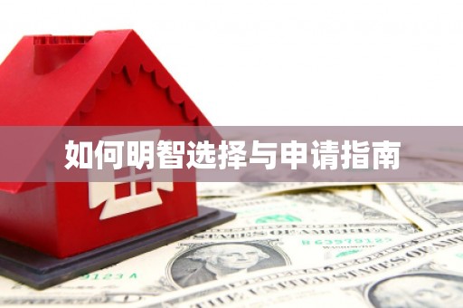 安定如何明智选择与申请指南