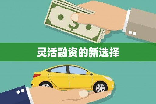 崁顶灵活融资的新选择