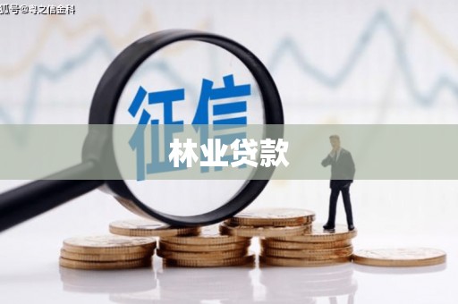 泸水林业贷款