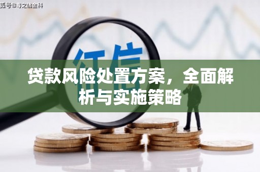 单县贷款风险处置方案，全面解析与实施策略