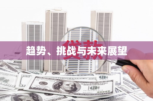 合浦趋势、挑战与未来展望