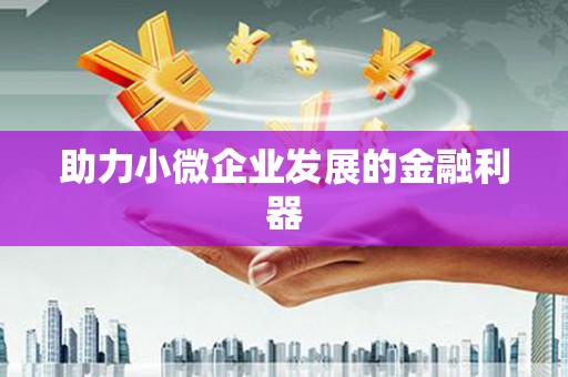 麻城助力小微企业发展的金融利器