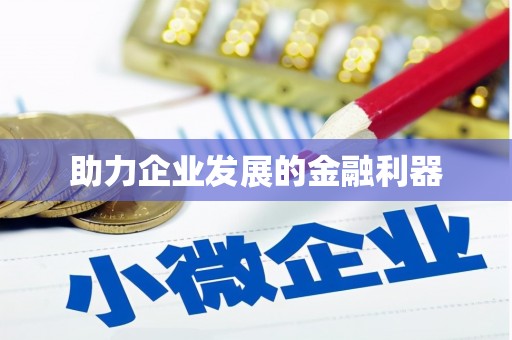 宁南助力企业发展的金融利器