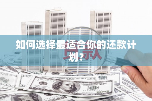 察右前旗如何选择最适合你的还款计划？