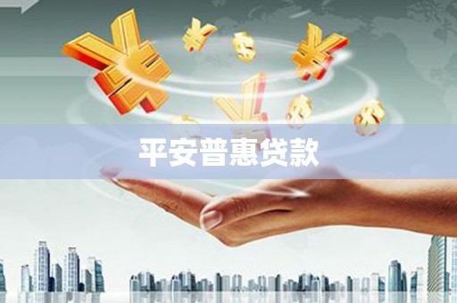 清水河平安普惠贷款