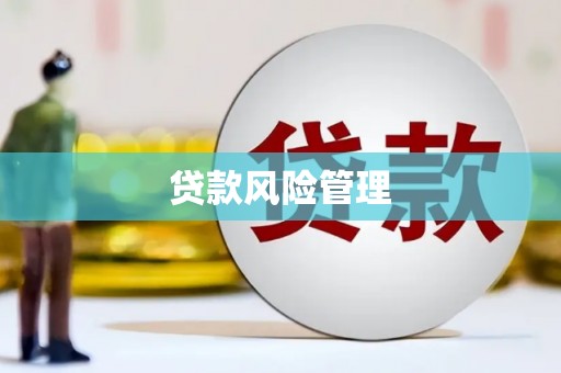南屯贷款风险管理