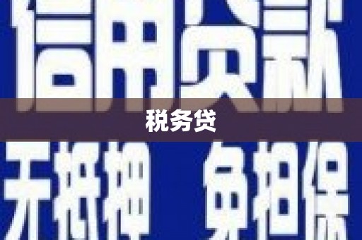 松北税务贷